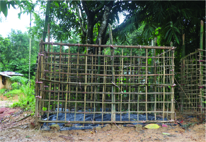Image of মো: নুর মোস্তফা